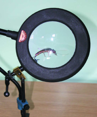  Lamp on Stonefly Clamp Magnifying Lens     Glasgow Angling Centre