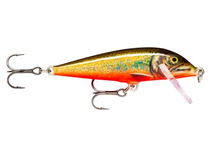 Rapala Countdown Sinking Lure Size: 11cm 16g : RT - Rainbow Trout – Glasgow  Angling Centre
